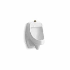Top 10 🔔 Kohler Dexter Washdown Wall-Mount 0.125 Gpf Urinal With Top Spud White (K-5452-ET-0) 🌟